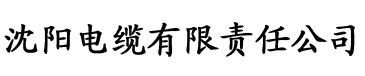 国产精品免费看久久久无码电缆厂logo